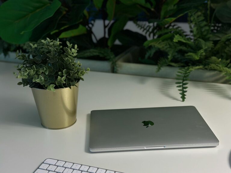 Easy Ways to Add Nature to Your Workspace for a Fresh Boost